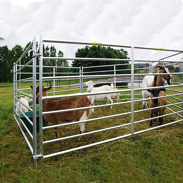 Cattle Corral Panels
